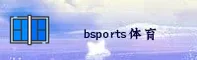 BSport官网(bsports.com)入口